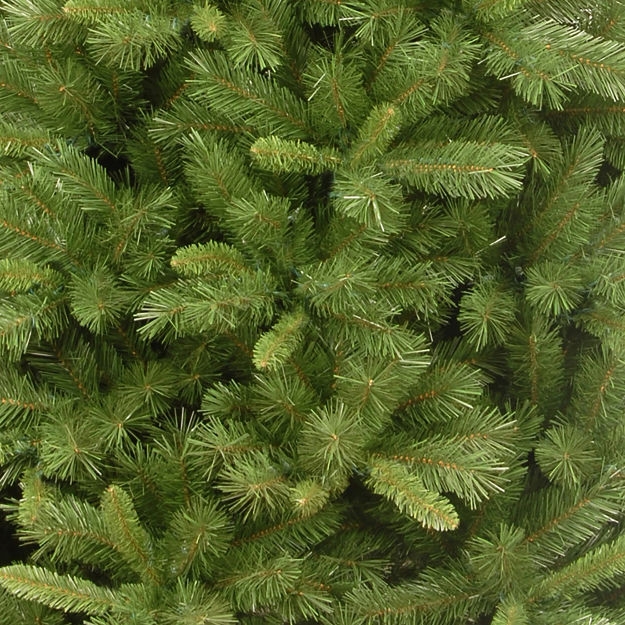 9ft Winchester Pine Christmas Tree - Image 4